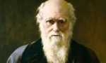 Karol darwin