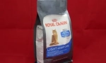 Pasza do sterylizowanych i kantowanych kotów i kotów marki royal canin