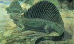 Pelicosaurs