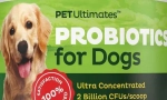 Probiotyk dla psów