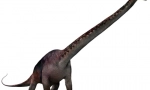 Seismicosaur