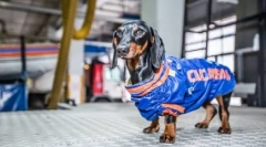 4 Znane podatki, które pomagają ludziom