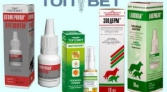 Amitrasine z roztoczy w kotach