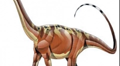 Argentynosaur