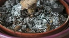 Biały kwiat na ziemi w doniczkach i co z tym zrobić