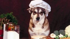 Naczynie wszystkie jeden po drugim