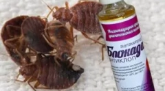 Blockade antiklop i zamówienie aplikacji