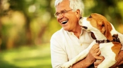 Psy niebezpieczne dla człowieka