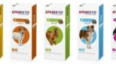 Bravkto z kleszczy, pcheł i innych pasożytów