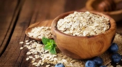 Szybki trznadel dla psów