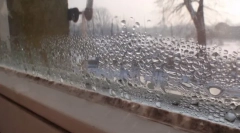 Środki domowe i ludowe do zniszczenia formy