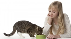 Częste pytania dotyczące karmienia kotów