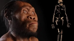 Człowiek jako rodzaj