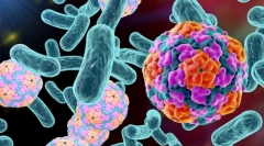 Jakie bakterie różnią się od wirusów?