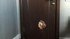 Jakie psy robią, gdy właściciele nie są w domu: 10 najlepszych dziwnych zajęć