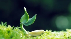 Co jest potrzebne do utrzymania życia?