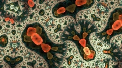 Jakie są najprostsze?