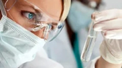 Co to jest egggalist