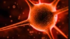 Czym jest cryptosporidia i jakie są metody jego leczenia?