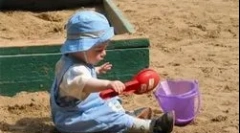 Co to jest toksyokrota?