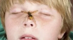 Działania rodziców, jeśli dziecko bitowa