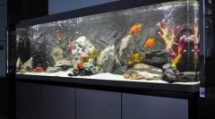 Dekorowanie akwarium