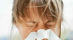 Dermatophage peric lub dust tick