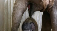 Dziecko, otoczone opieką macierzyńskimi i miłością (23 zdjęcia)