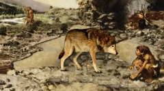 Dzikie przodkowie domowych psów: widok skał podobnych do wilków