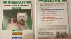 Febtrel: lek, który uratuje kota z robaków