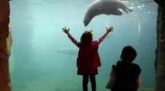 Zdjęcia zwierząt naszej planety