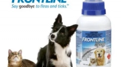 Frontline dla kotów: instrukcje użytkowania