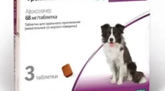 Frontline nexgard i instrukcje dotyczące jego użycia