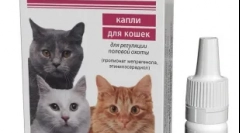 Gestrenol dla kotów: przypadki spotkania i zaleceń do użytku