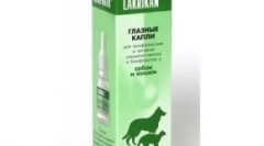 Krople do oczu dla kotów