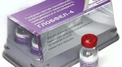 Globul-4: ostrzeżenie o niebezpiecznych chorobach zwierząt domowych