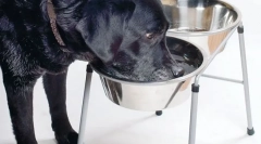 Przewlekłą chorobę nerek