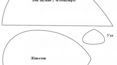 Zabawki dla kotów robią to sam: od najprostszego do interaktywnego