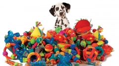 Zabawki dla psów: niebezpieczne i bezpieczne