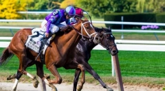 Gry z udziałem koni