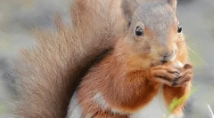 Ciekawe fakty dotyczące białek