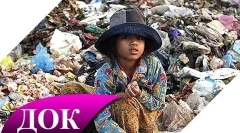 Ciekawe fakty dotyczące zanieczyszczenia środowiska