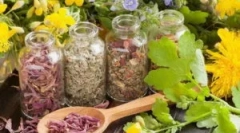 Skuteczny rosyjski troinage z pasożytów