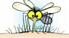 Skuteczne rozładowawcy komarów