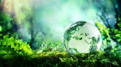 Ekosystem: składniki, struktura, łańcuchy energetyczne