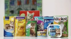 Jak przetłumaczyć kota na suchej żywności z innymi rodzajami żywności