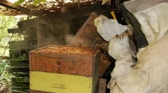 Jak ułożony jest blacz?