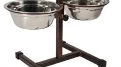 Jak zachowywać się z psem, który zabrał ze schroniska