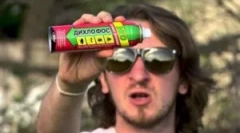 Jak przynieść domowe pchły w mieszkaniu