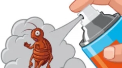 Jak przynieść pchły ziemi z domu?